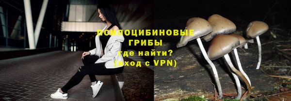 дурь Алексеевка