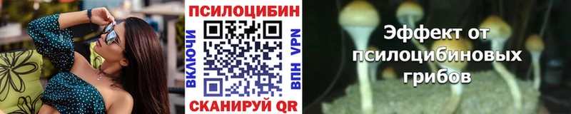 Галлюциногенные грибы MAGIC MUSHROOMS  Чадан 
